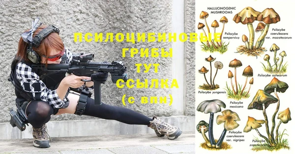 герыч Балахна