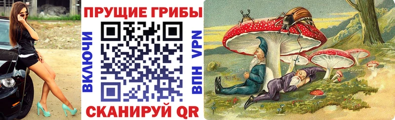 купить наркоту  Юрьевец  Галлюциногенные грибы Magic Shrooms 